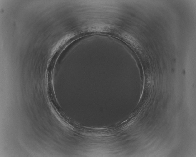 X0000066120678200603101236