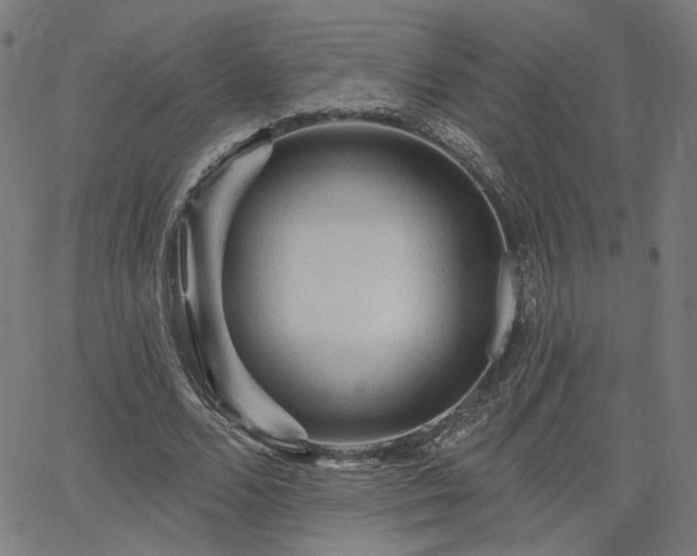 X0000066120680200603101236