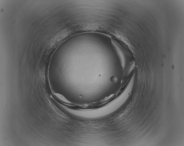 X0000066120681200603101236