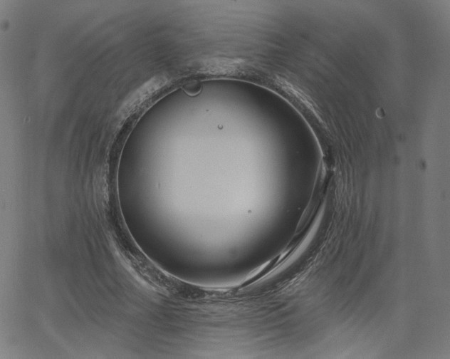 X0000066120682200603101236