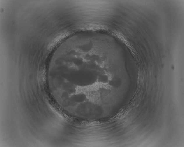 X0000066120683200603101236