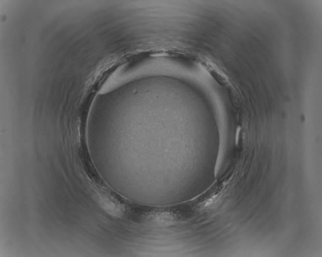 X0000066120685200603101236