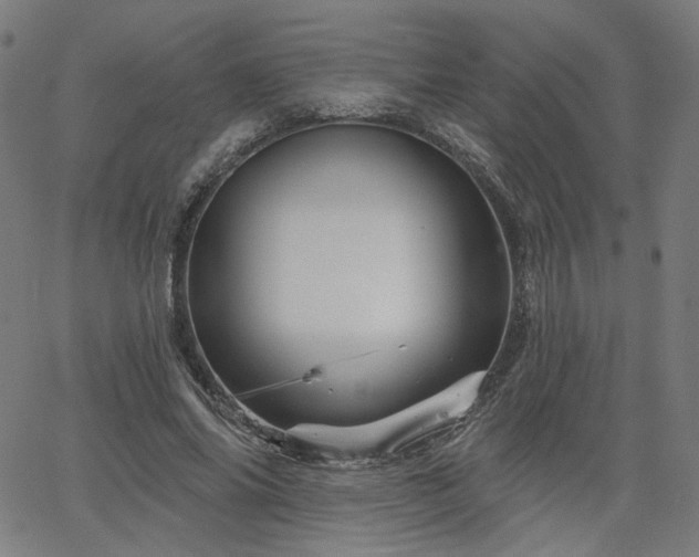 X0000066120686200603101236