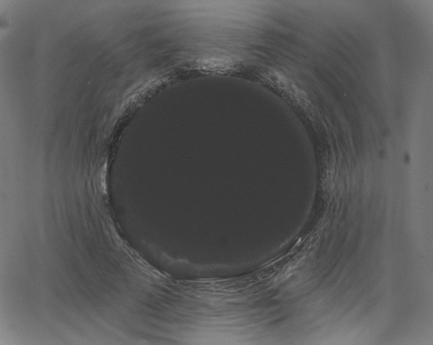 X0000066120689200603101236