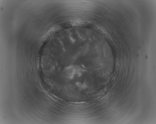 X0000066120691200603101236