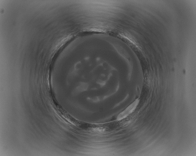 X0000066120692200603101236