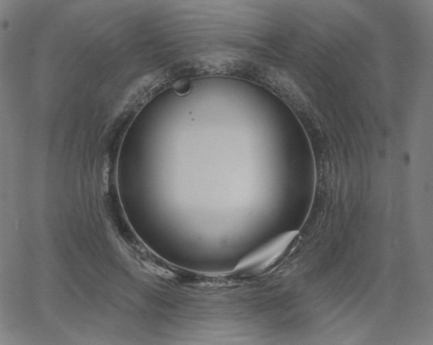 X0000066120694200603101236