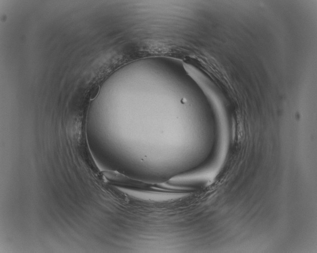 X0000066120697200603101236