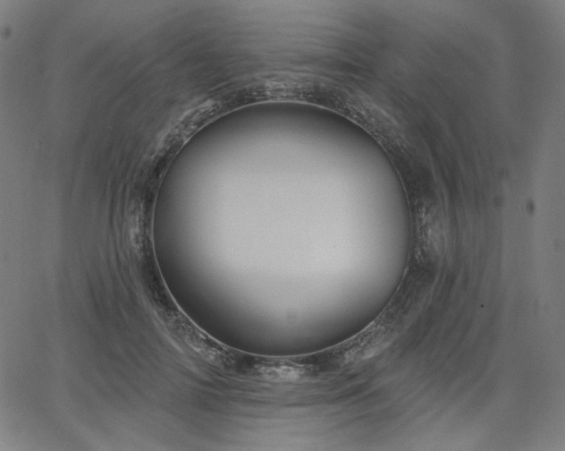 X0000066120698200603101236