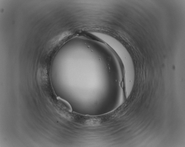 X0000066120700200603101236