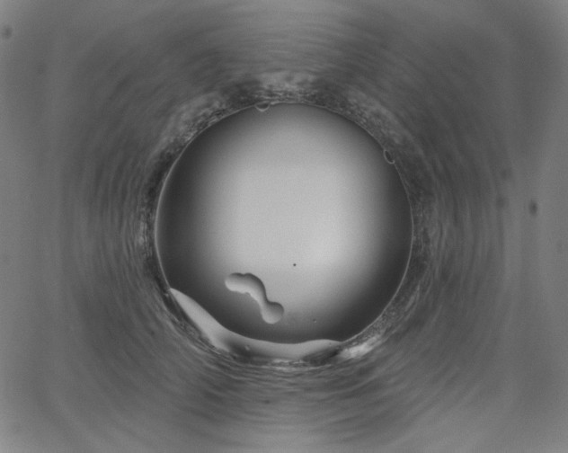 X0000066120706200603101236