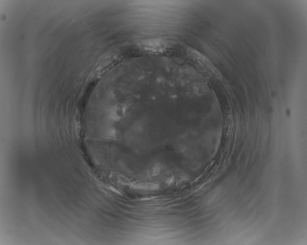 X0000066120707200603101236