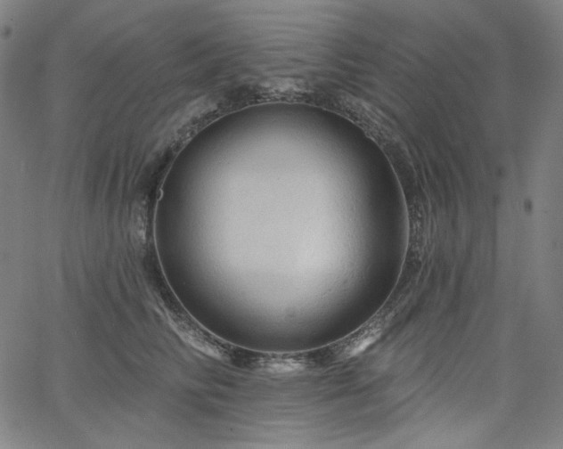 X0000066120710200603101235