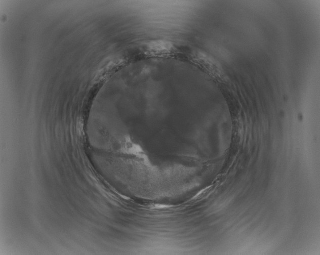 X0000066120711200603101235