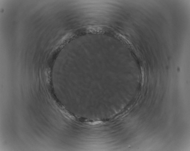 X0000066120712200603101235