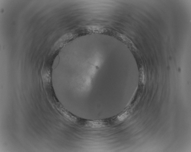 X0000066120713200603101235