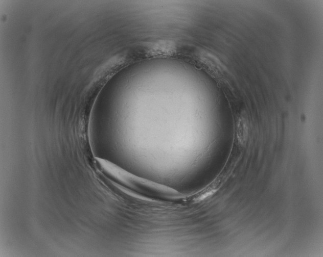 X0000066120714200603101235