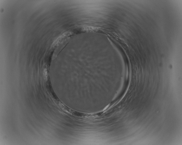 X0000066120716200603101235