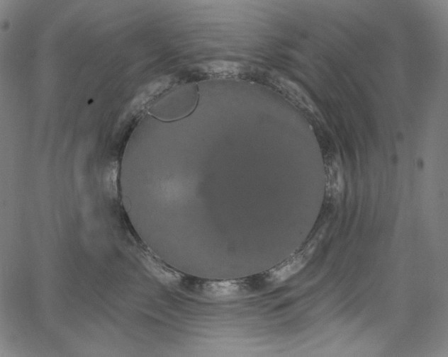 X0000066120717200603101235