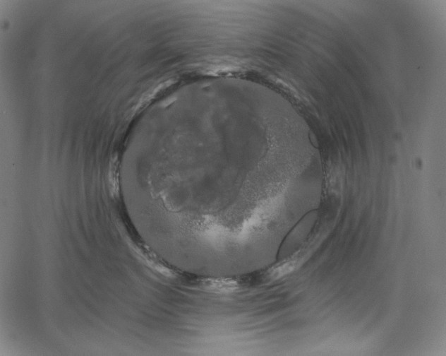 X0000066120719200603101235