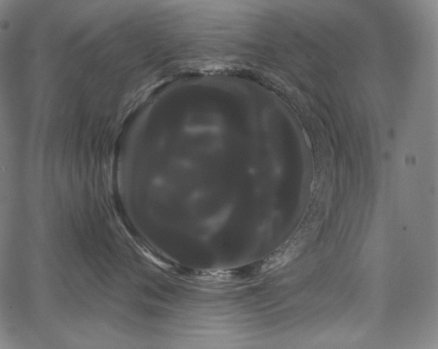 X0000066120720200603101235