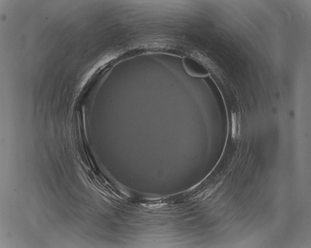 X0000066120723200603101235