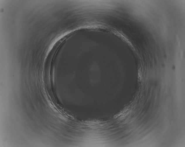 X0000066120724200603101235