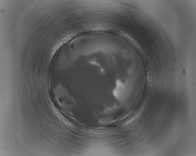 X0000066120725200603101235