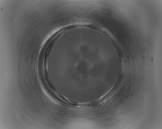 X0000066120726200603101235