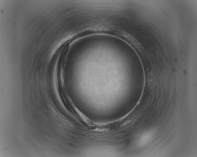 X0000066120727200603101235