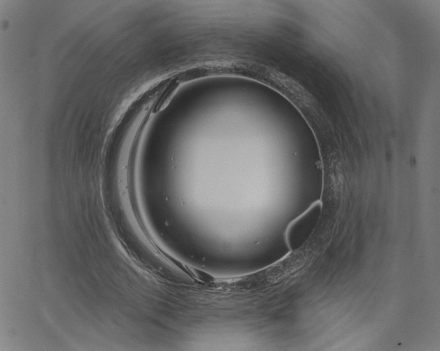 X0000066120728200603101235