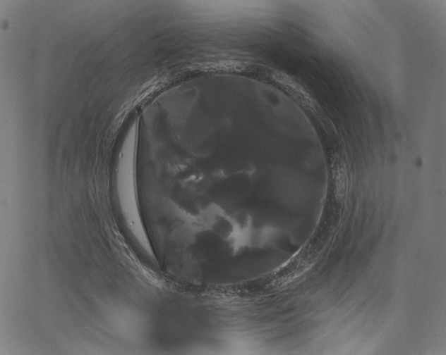 X0000066120729200603101235