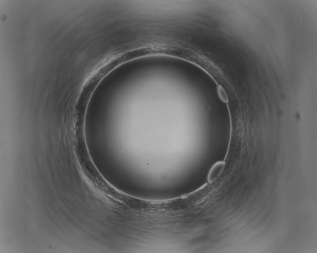 X0000066120730200603101235