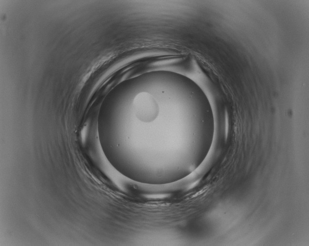 X0000066120731200603101235