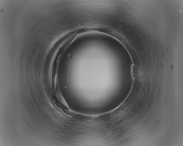 X0000066120732200603101235