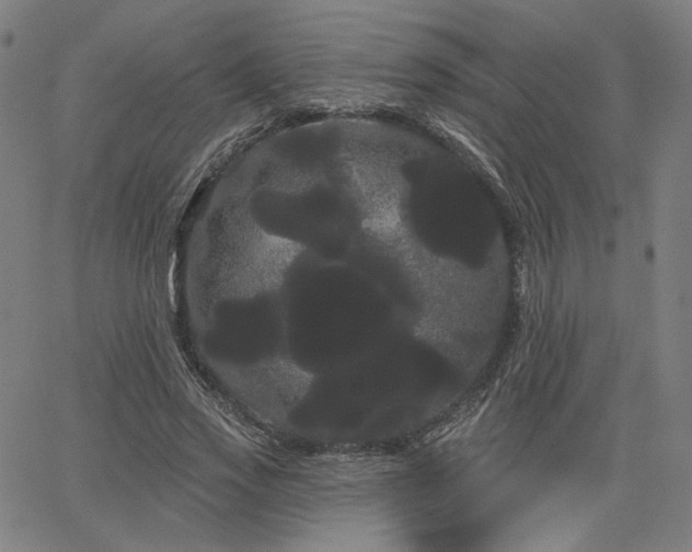 X0000066120733200603101235