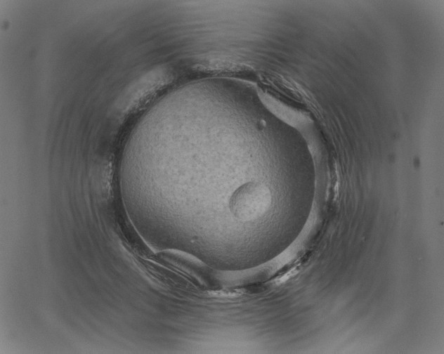 X0000066120735200603101235