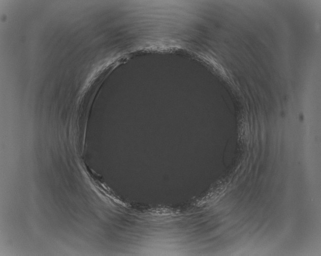 X0000066120736200603101235