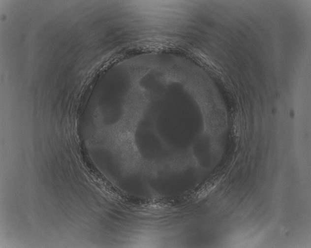 X0000066120737200603101235