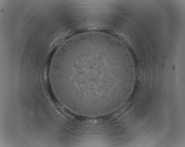 X0000066120740200603101235