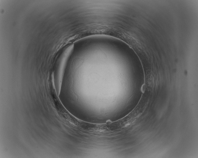 X0000066120743200603101235