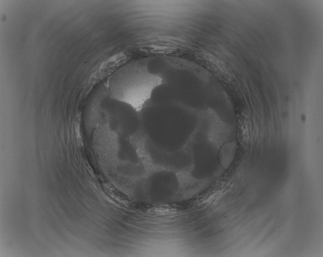 X0000066120745200603101235