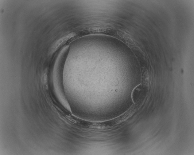 X0000066120746200603101235