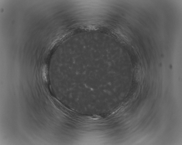 X0000066120747200603101235