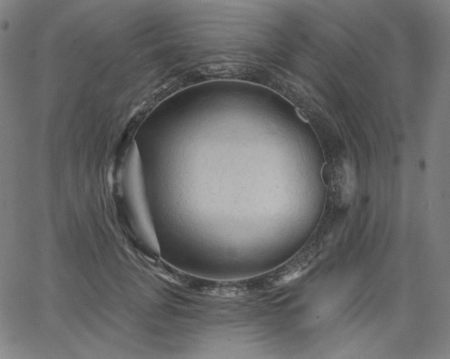 X0000066120751200603101235