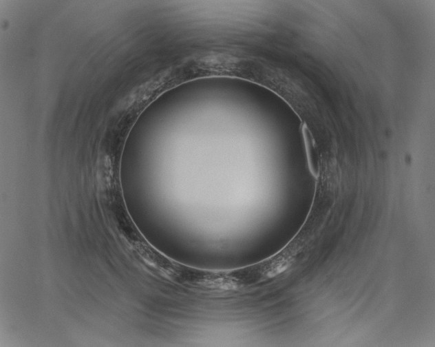 X0000066120752200603101235