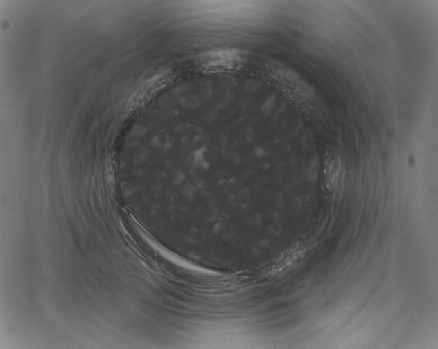 X0000066120753200603101235