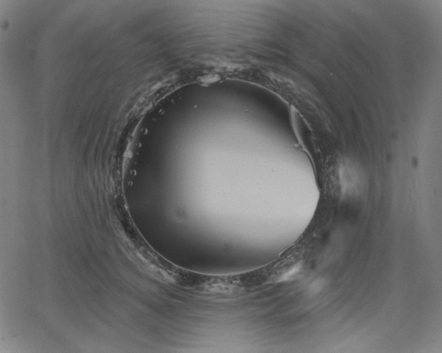 X0000066120756200603101235