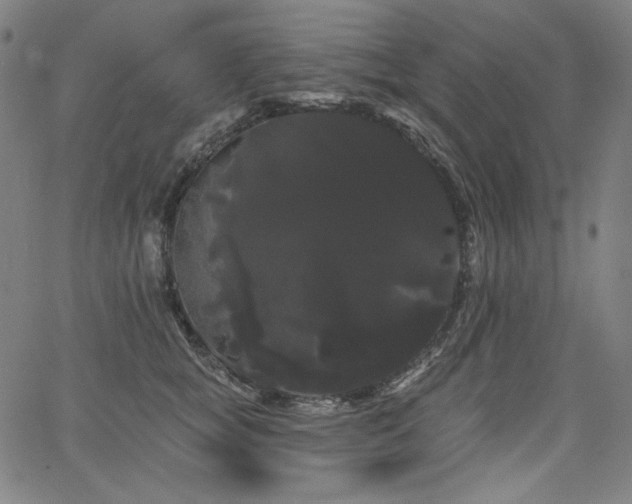 X0000066120757200603101235