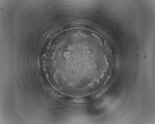 X0000066120758200603101235